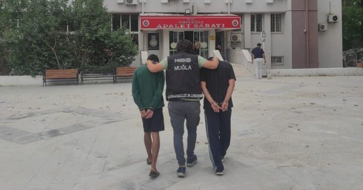 Muğla’da uyuşturucu operasyonu: 1 tutuklama