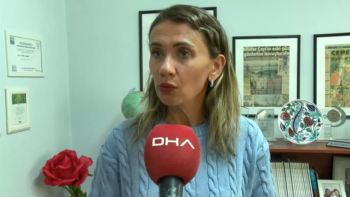 Bursa’da Ayvalı Dere Kırmızı Akıyor