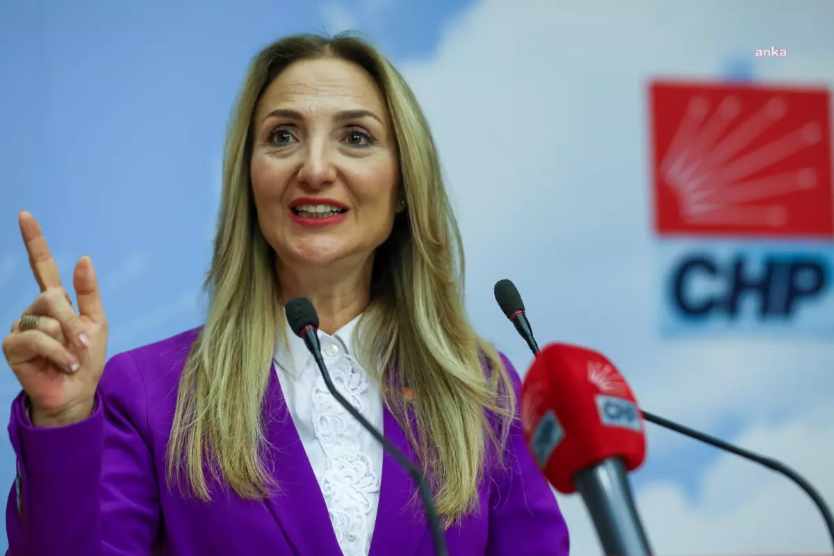 CHP’li Nazlıaka’dan Bakanlığın Kreş Yazısına Tepki: “Bu Karar Kadına Yönelik Bir Şiddettir”