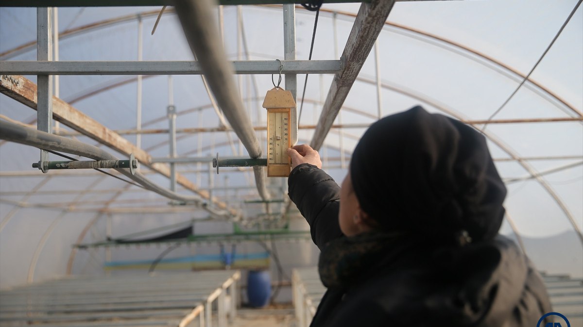 Edirne’de üreticilerden seralarda dona karşı kalorifer önlemi