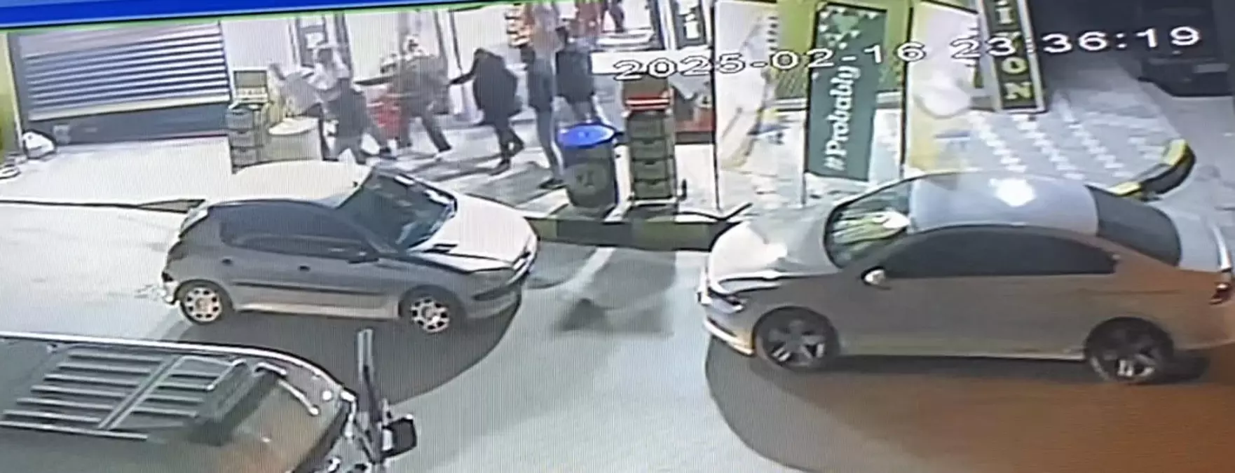 İzmir’de Sokak Köpekleri ve Market Saldırısı: İki Kişi Tutuklandı